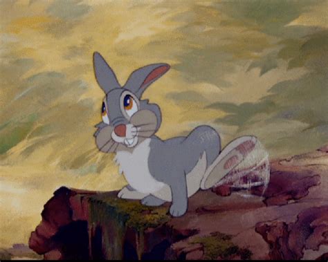 Thumper! A Rhythmic Rabbit Run You Won’t Forget!