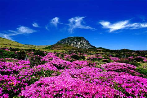 제주도 동쪽 코스: 바다와 산의 조화를 찾아서